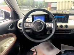 Wuling Binguo 333km Joy Edition - photo 10