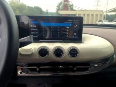 Wuling Binguo 333km Joy Edition - photo 12
