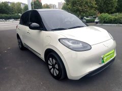 Wuling Binguo 333km Joy Edition - photo 3
