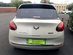 Wuling Binguo 333km Joy Edition - photo 5