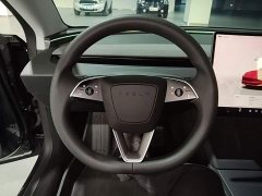 Tesla Model 3 Rear-Wheel Drive - photo 10