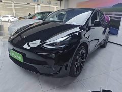 Tesla Model Y Rear-Wheel Drive - фото 1