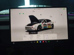 Tesla Model 3 Rear-Wheel Drive - ფოტო 11