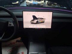 Tesla Model 3 Rear-Wheel Drive - ფოტო 12