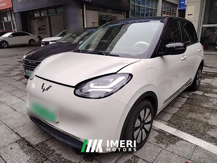 Wuling Binguo 333km Joy Edition - car from China