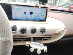 Wuling Binguo 333km Joy Edition - photo 12
