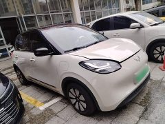 Wuling Binguo 333km Joy Edition - photo 3