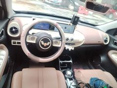 Wuling Binguo 333km Joy Edition - photo 9