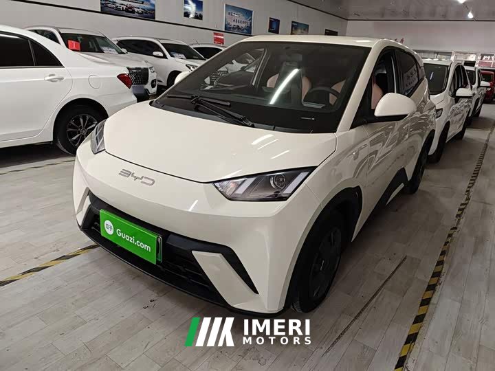 BYD Seagull Vitality Edition - ავტომობილი ჩინეთიდან
