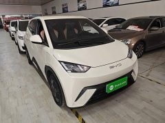 BYD Seagull Vitality Edition - ფოტო 3