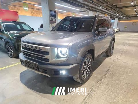 2023 Great Wall Dachshund 1.5T DCT Border Collie Edition - ავტომობილი ჩინეთიდან