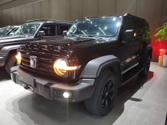 Tank 300 Off-Road Edition 2.0T Conqueror - photo 1