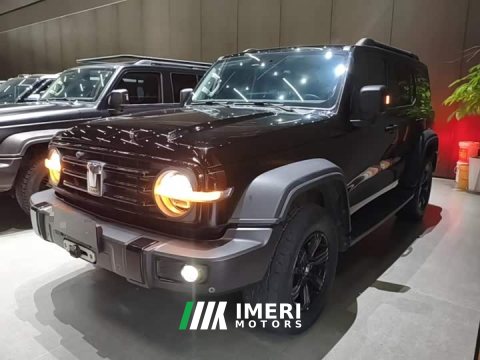 2022 Tank 300 Off-Road Edition 2.0T Conqueror - ავტომობილი ჩინეთიდან