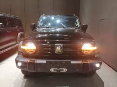 Tank 300 Off-Road Edition 2.0T Conqueror - photo 2