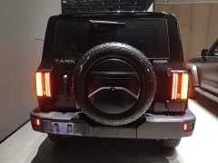 Tank 300 Off-Road Edition 2.0T Conqueror - photo 5