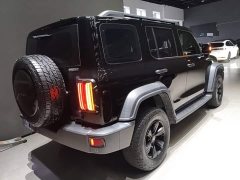 Tank 300 Off-Road Edition 2.0T Conqueror - photo 6
