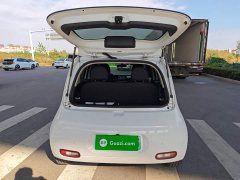 Ora White Cat Upgrade 305km Luxury Trim Ternary Lithium Battery - photo 14