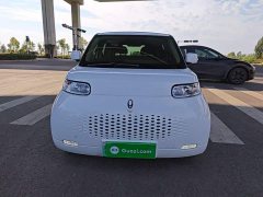 Ora White Cat Upgrade 305km Luxury Trim Ternary Lithium Battery - photo 2