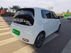 Ora White Cat Upgrade 305km Luxury Trim Ternary Lithium Battery - photo 4