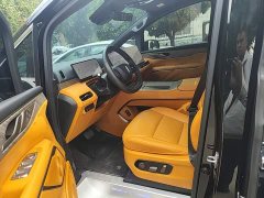 Great Wall WEY Shanshan New Energy Four-Wheel Drive Shanshan 8 - photo 14
