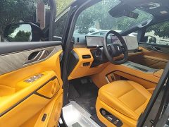 Great Wall WEY Shanshan New Energy Four-Wheel Drive Shanshan 8 - photo 15