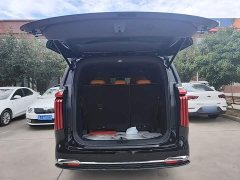 Great Wall WEY Shanshan New Energy Four-Wheel Drive Shanshan 8 - photo 18