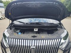 Great Wall WEY Shanshan New Energy Four-Wheel Drive Shanshan 8 - photo 19