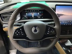 Denza D9 DM-i 970 AWD Flagship - ფოტო 10