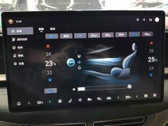 Denza D9 DM-i 970 AWD Flagship - ფოტო 12