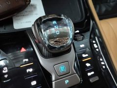 Denza D9 DM-i 970 AWD Flagship - ფოტო 13