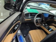 Denza D9 DM-i 970 AWD Flagship - ფოტო 15