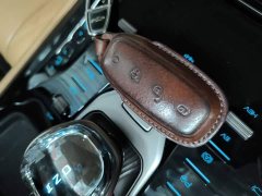 Denza D9 DM-i 970 AWD Flagship - ფოტო 8