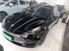 Tesla Model 3 Standard Range RWD Upgrade - ფოტო 1