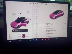 Tesla Model 3 Standard Range RWD Upgrade - ფოტო 12