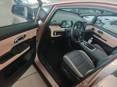 GAC AION Y 70 Smart Leader Edition LFP - ფოტო 15