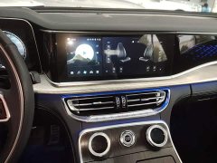FAW Red Flag H9 2.0T Smart Connected Flagship Comfort Edition - photo 12