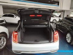 FAW Red Flag H9 2.0T Smart Connected Flagship Comfort Edition - photo 18