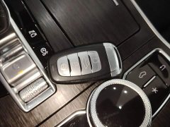 FAW Red Flag H9 2.0T Smart Connected Flagship Comfort Edition - photo 8