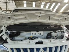Changan EM60 260km Version 5 41.86kWh - фото 19