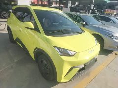 BYD Seagull Glory Edition 305km Vitality Version - ფოტო 3