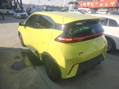BYD Seagull Glory Edition 305km Vitality Version - ფოტო 4