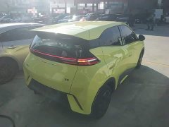 BYD Seagull Glory Edition 305km Vitality Version - ფოტო 6
