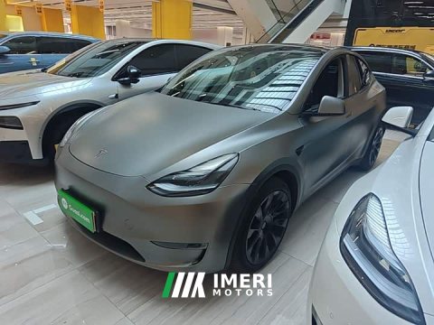 2021 Tesla Model Y Standard Range RWD - ავტომობილი ჩინეთიდან