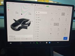 Tesla Model Y Standard Range RWD - ფოტო 12