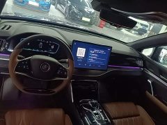 BYD Tang New Energy DM-i 112KM Premium Edition - ფოტო 9