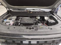 Jetour Jietu Shanhai T1 150km Explorer - photo 19