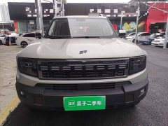 Jetour Jietu Shanhai T1 150km Explorer - photo 2