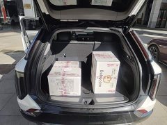 Cadillac IQ Aoge Four-Wheel Drive Long-Range Edition - ფოტო 18