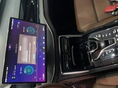 BYD Yuan Plus DM-i 2.0T AWD Performance Luxury Edition - ფოტო 10