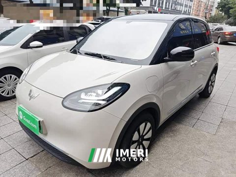 2024 Wuling Binguo 333km Joy Edition - ავტომობილი ჩინეთიდან